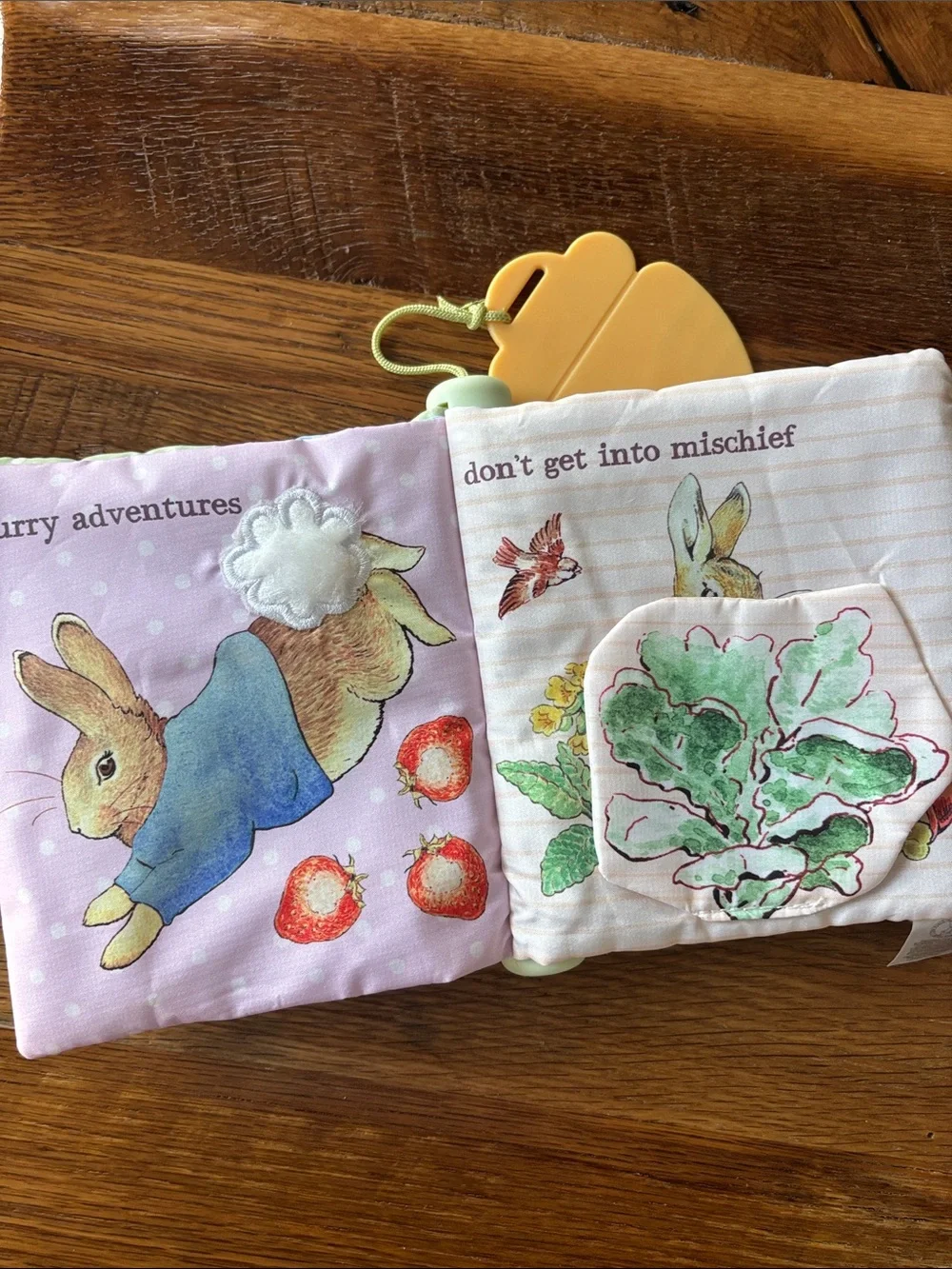 Peter Rabbit soft baby